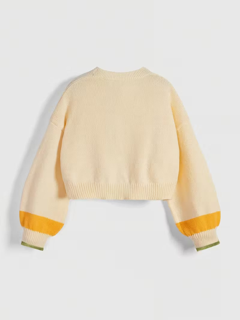 Embroidered Cardigan 🐝