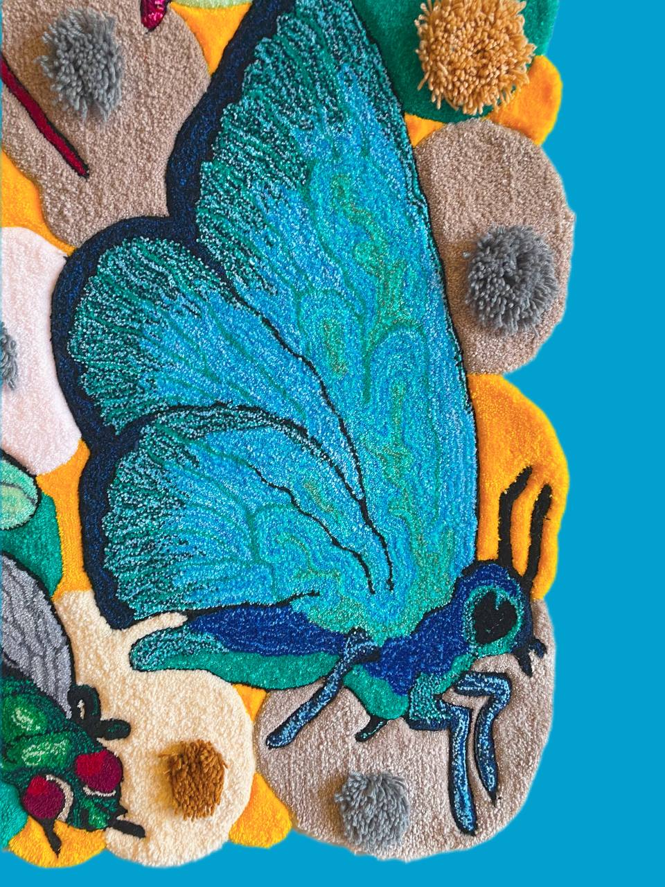 Beetle party🪲🦋🐜🐞