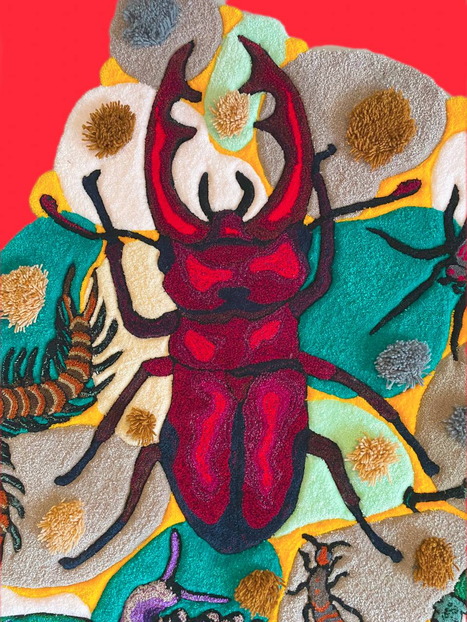 Beetle party🪲🦋🐜🐞